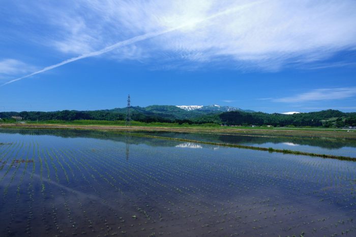 春先の田園と月山