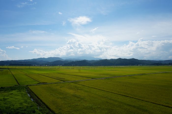 田園風景が一番好きな場所