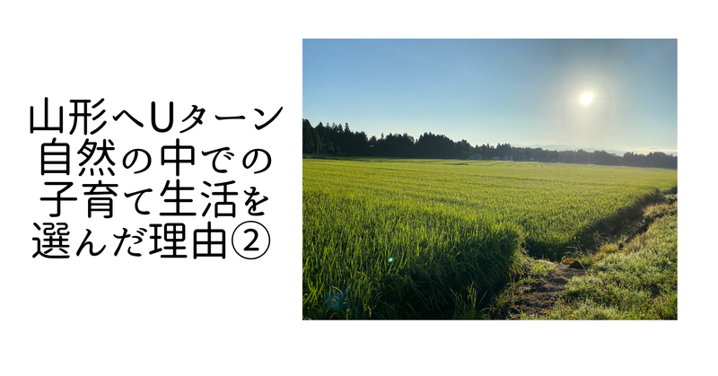 山形自然暮らしへの道のり。いざ、屋久島へ。｜研究員コラム