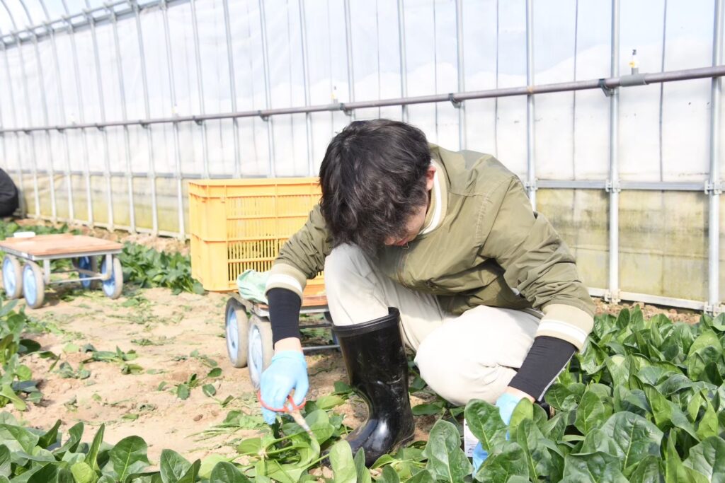 まちづくりや地域活性化のために自治体が取り組む事業を実際に感じたい人募集！